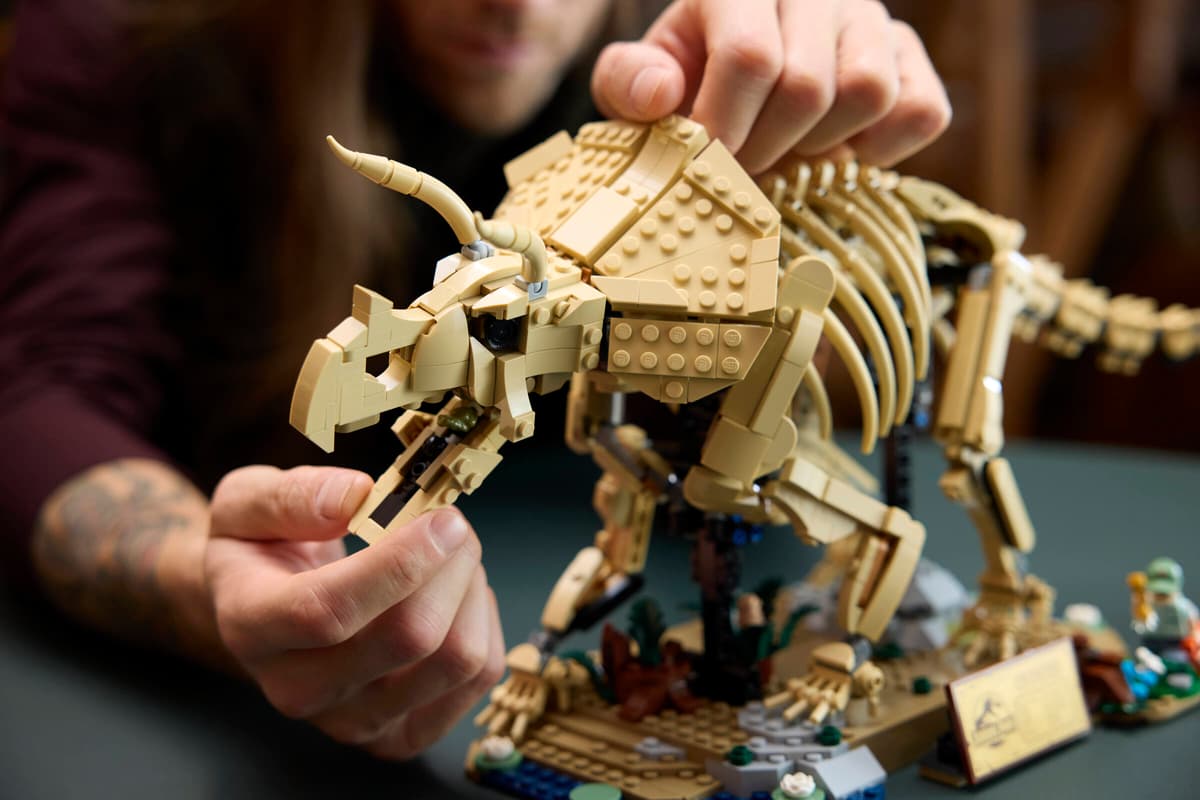 Dinosaurier, LEGO, Modell, Beige, Skelett