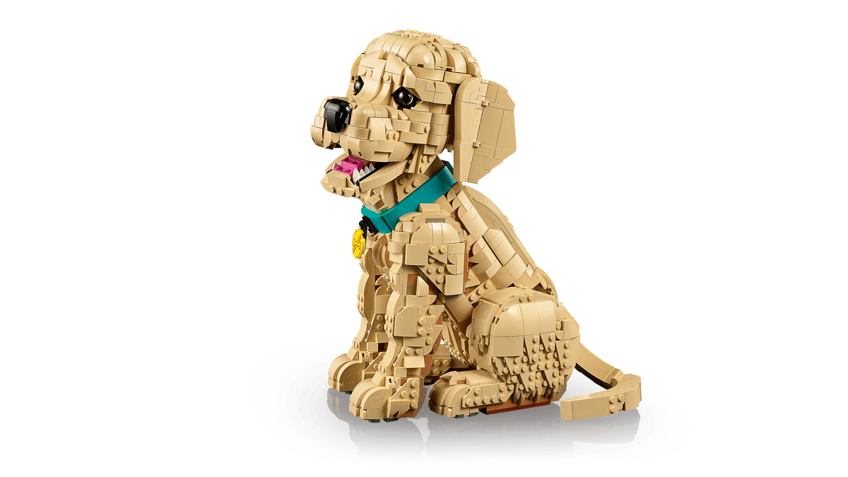 Golden Retriever Welpe