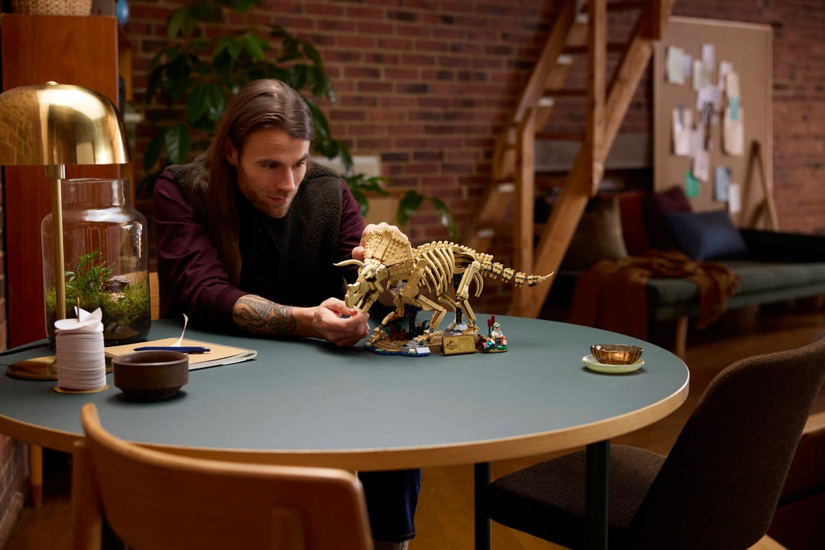 Dinosaurier-Fossilien: Triceratops