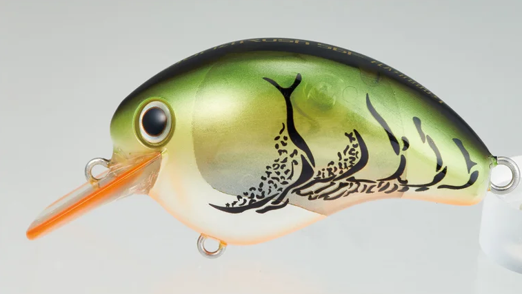 diving lure, fishing lure, Köder, grüner Verlauf, Augen-Detail