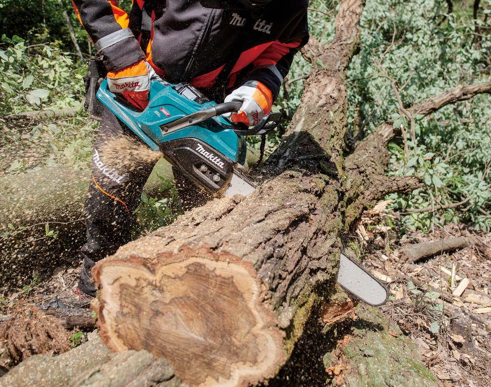 Baum, Holz, Junge, Kind, Person