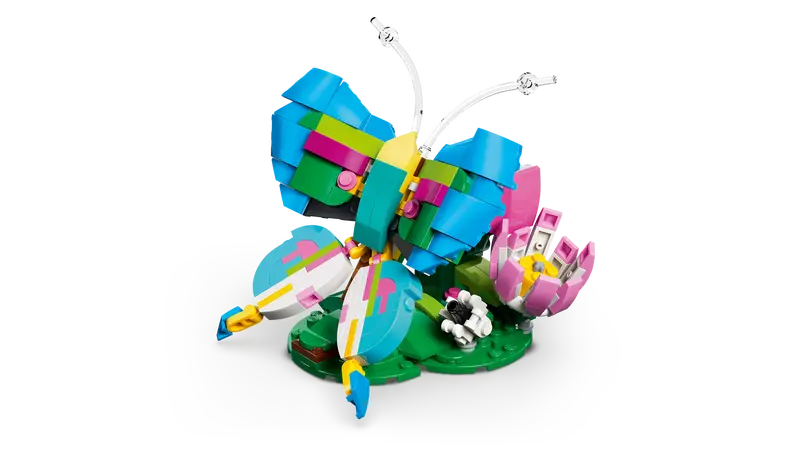 Wilde Tiere: Bunter Kolibri