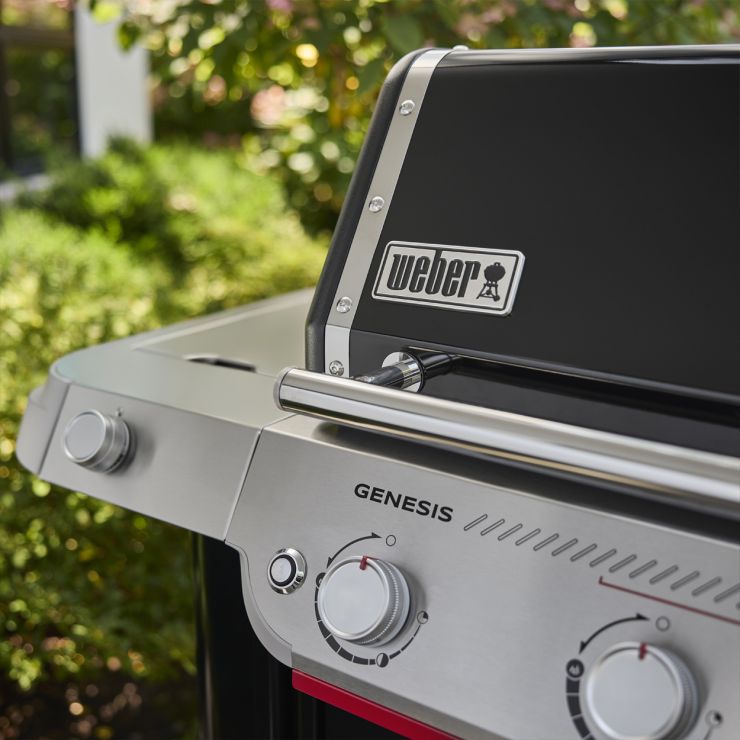 Grill, Gasgrill, Genesis, Edelstahl, Weber Grill