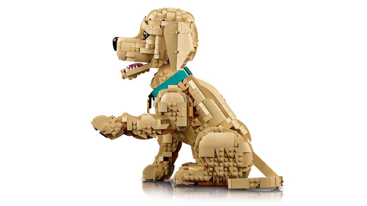 Golden Retriever Welpe