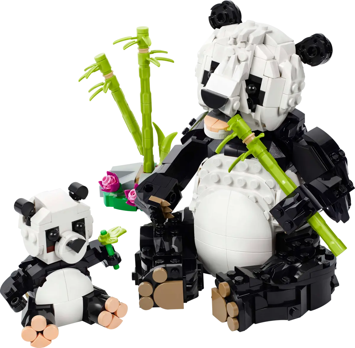 Wilde Tiere: Pandafamilie Wilde Tiere: Pandafamilie