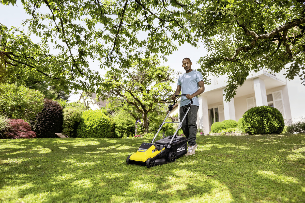 Gras, Rasen, Gerät, Rasenmäher, Rasen mähen