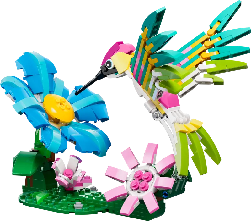 Wilde Tiere: Bunter Kolibri
