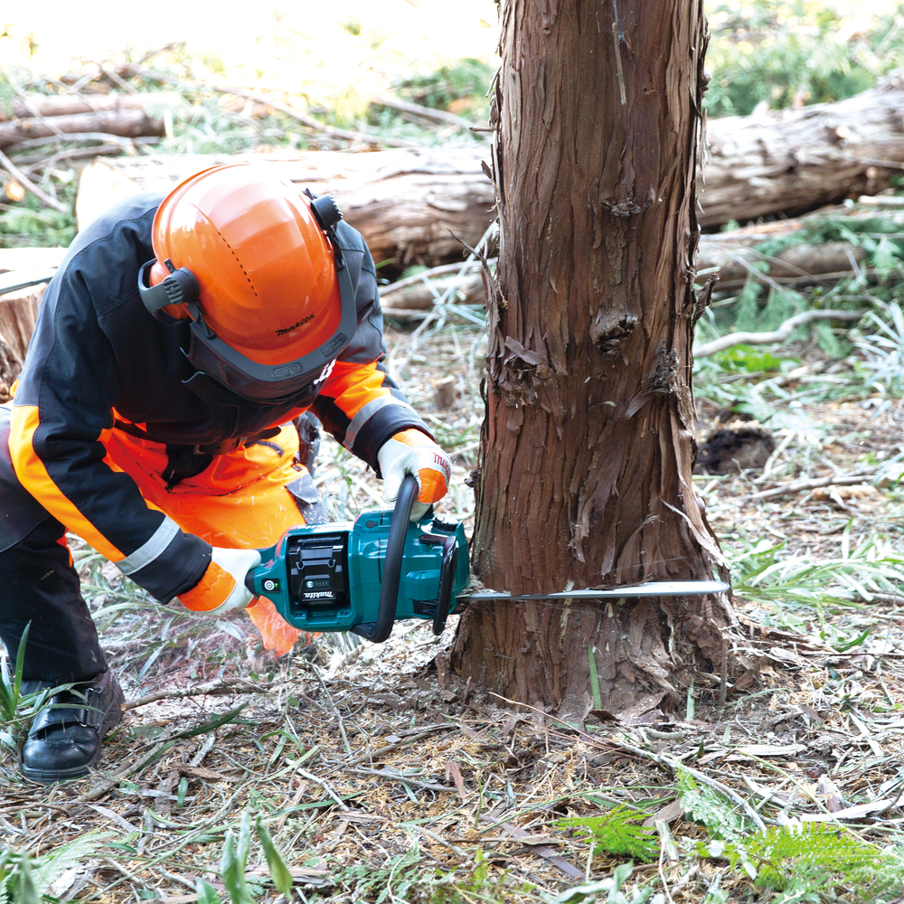 Schutzhelm, Helm, Baum, Person, Arbeiter