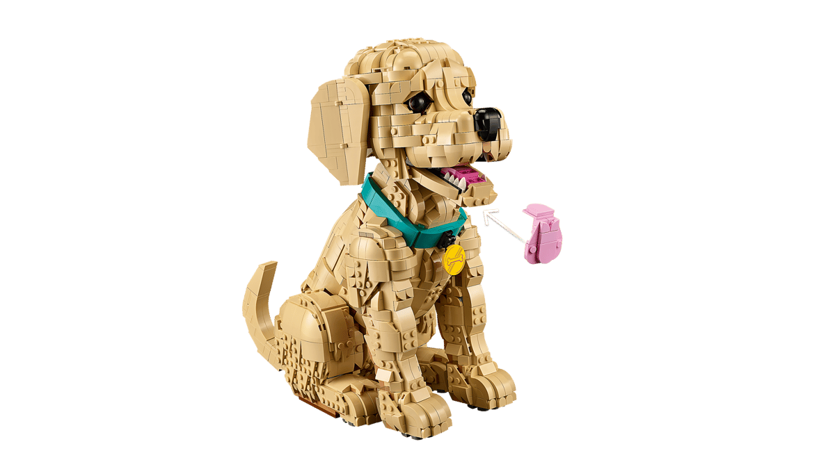 Golden Retriever Welpe