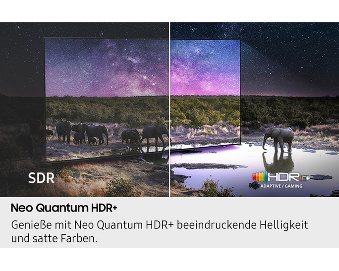 Elefant, Draußen, Natur, Grünland, Collage