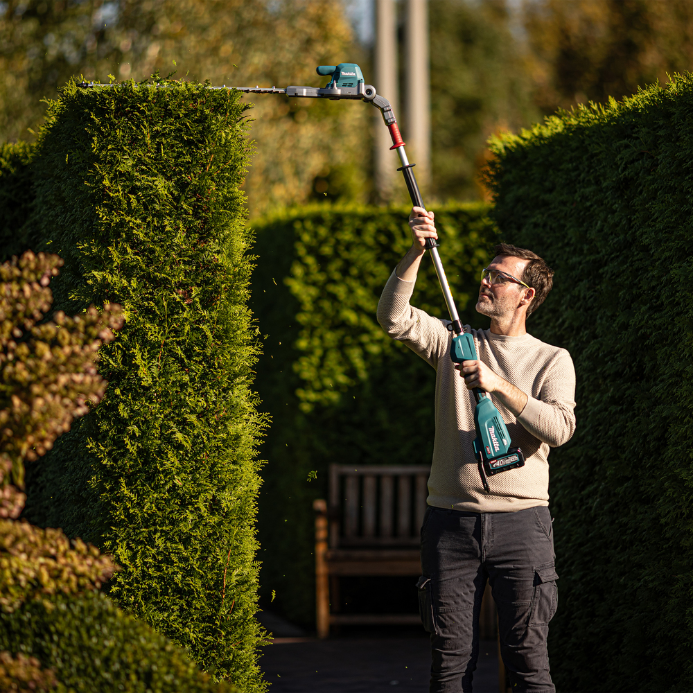 Hecke, Garten, Erwachsener, Mann, Person