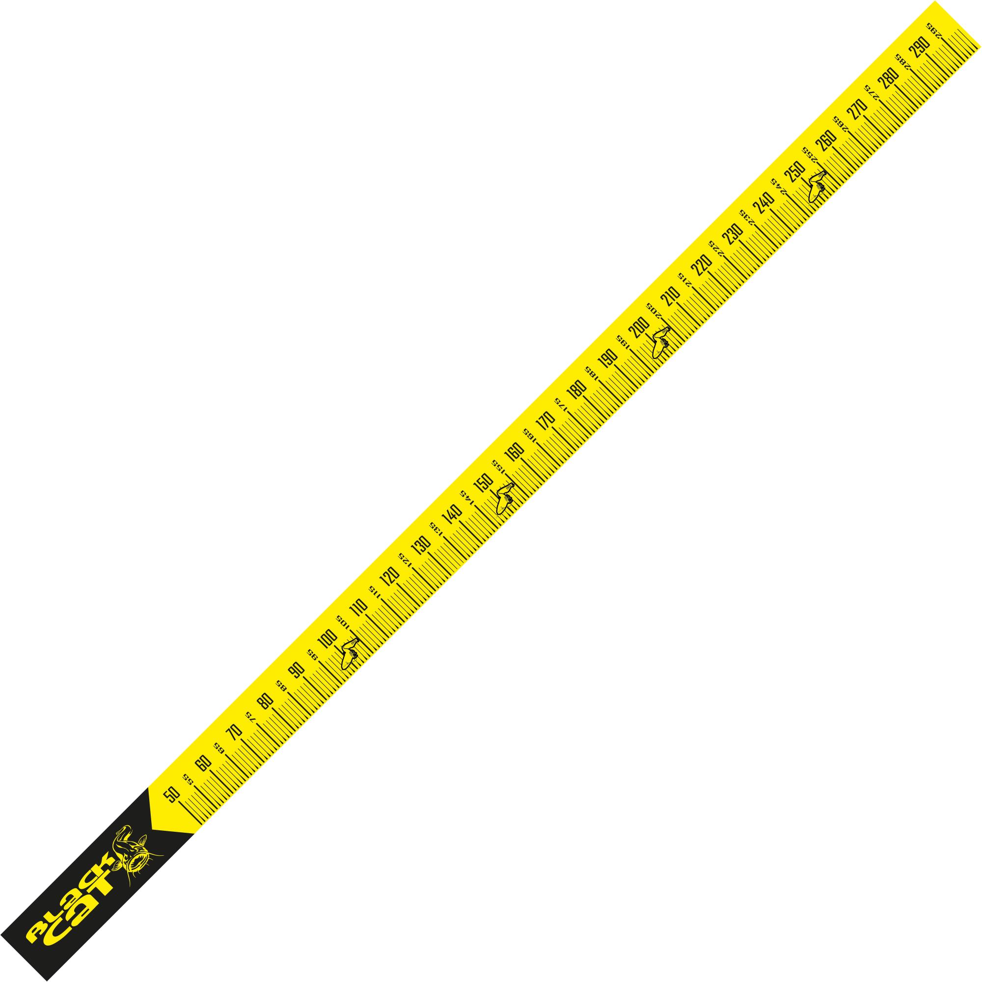 Bc Cat Measure