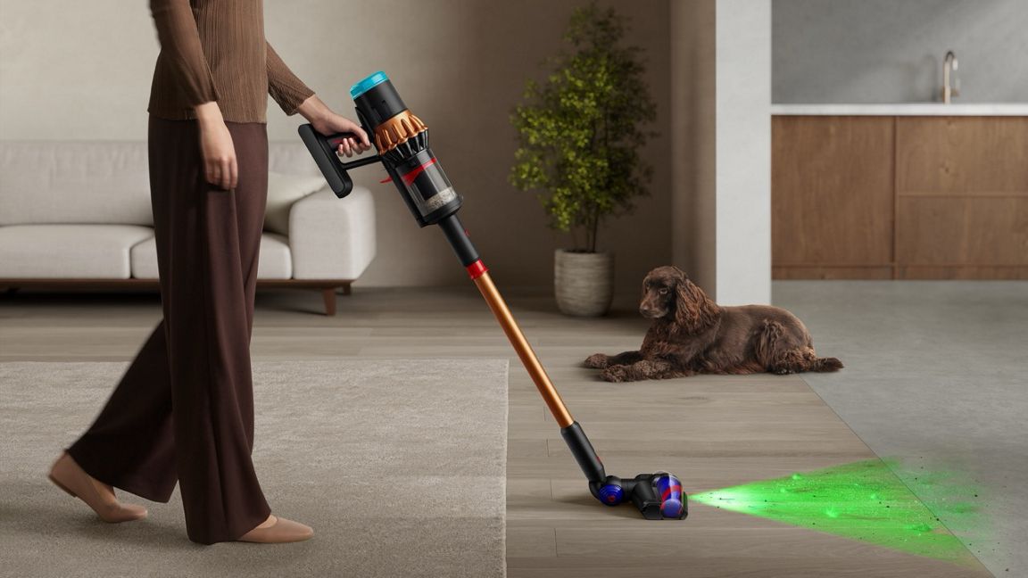 Staubsauger, Kabellos, Akku, Haustierpflege, Grünleuchtendes Laserlicht