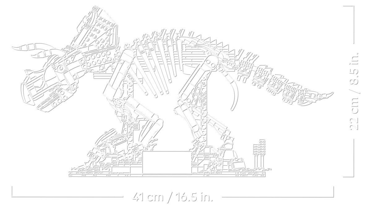 Dinosaurier-Fossilien: Triceratops