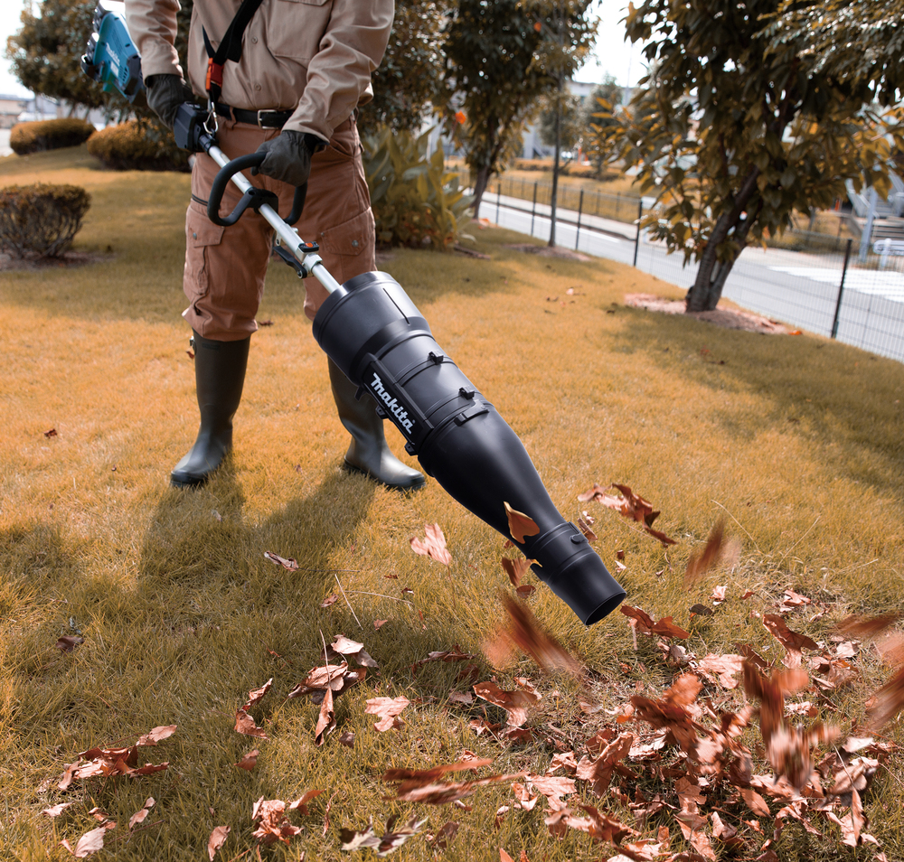 Gras, Pflanze, Blatt, Rasen, Person