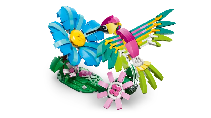 Wilde Tiere: Bunter Kolibri