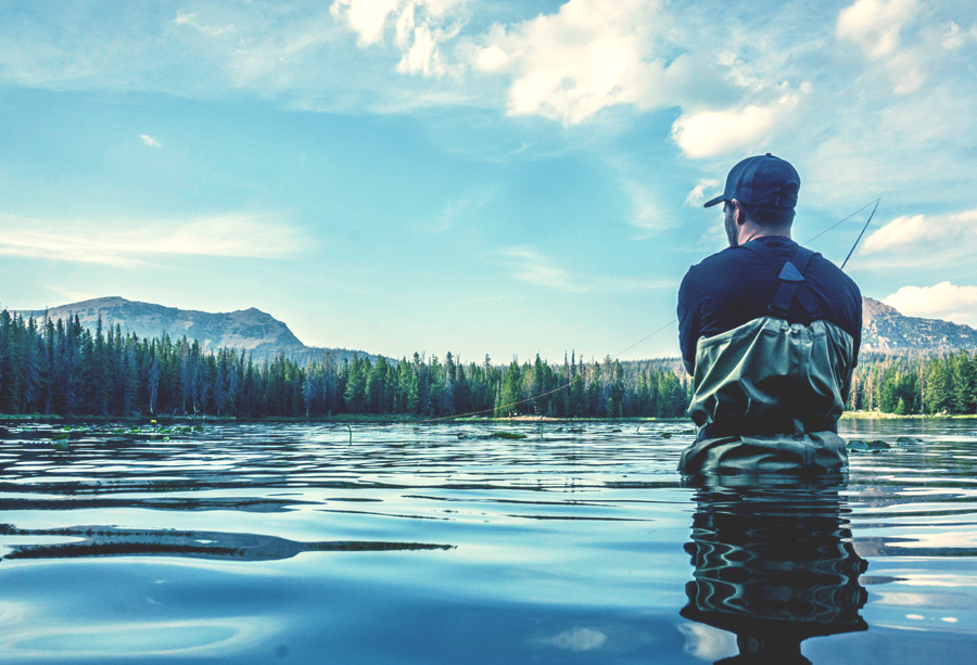 Pflanzenwuchs, See, Landschaft, Baseball-Kappe, Fotografie