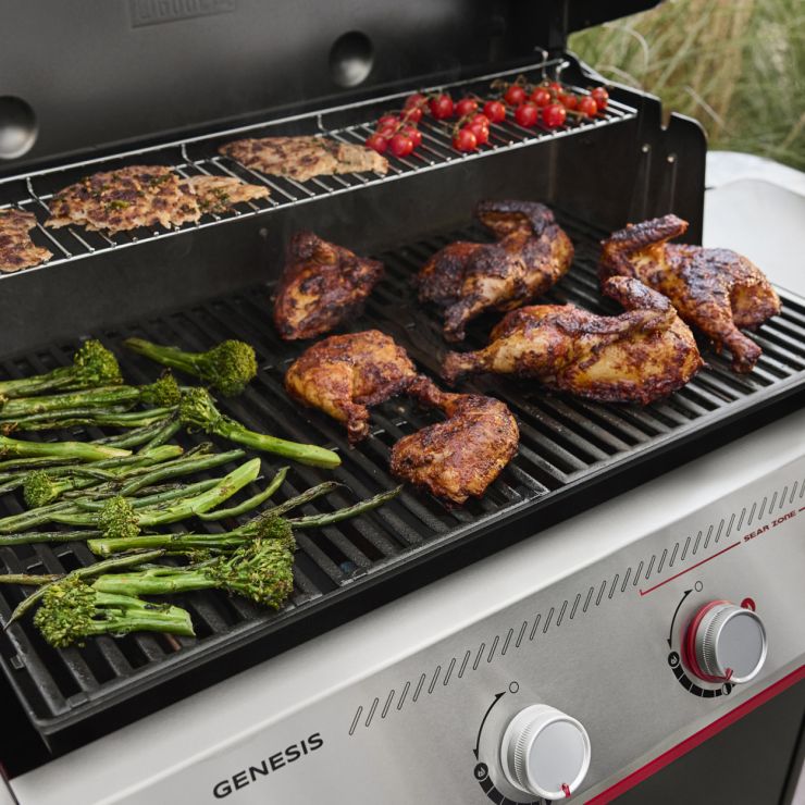 Grillgut, Hähnchen, Gemüse, Grillrost, Knusprig