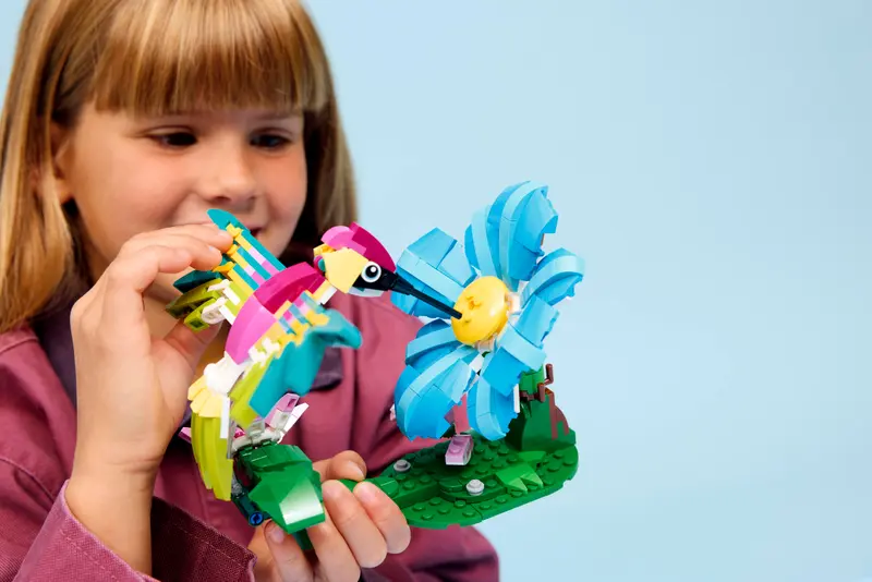 Wilde Tiere: Bunter Kolibri