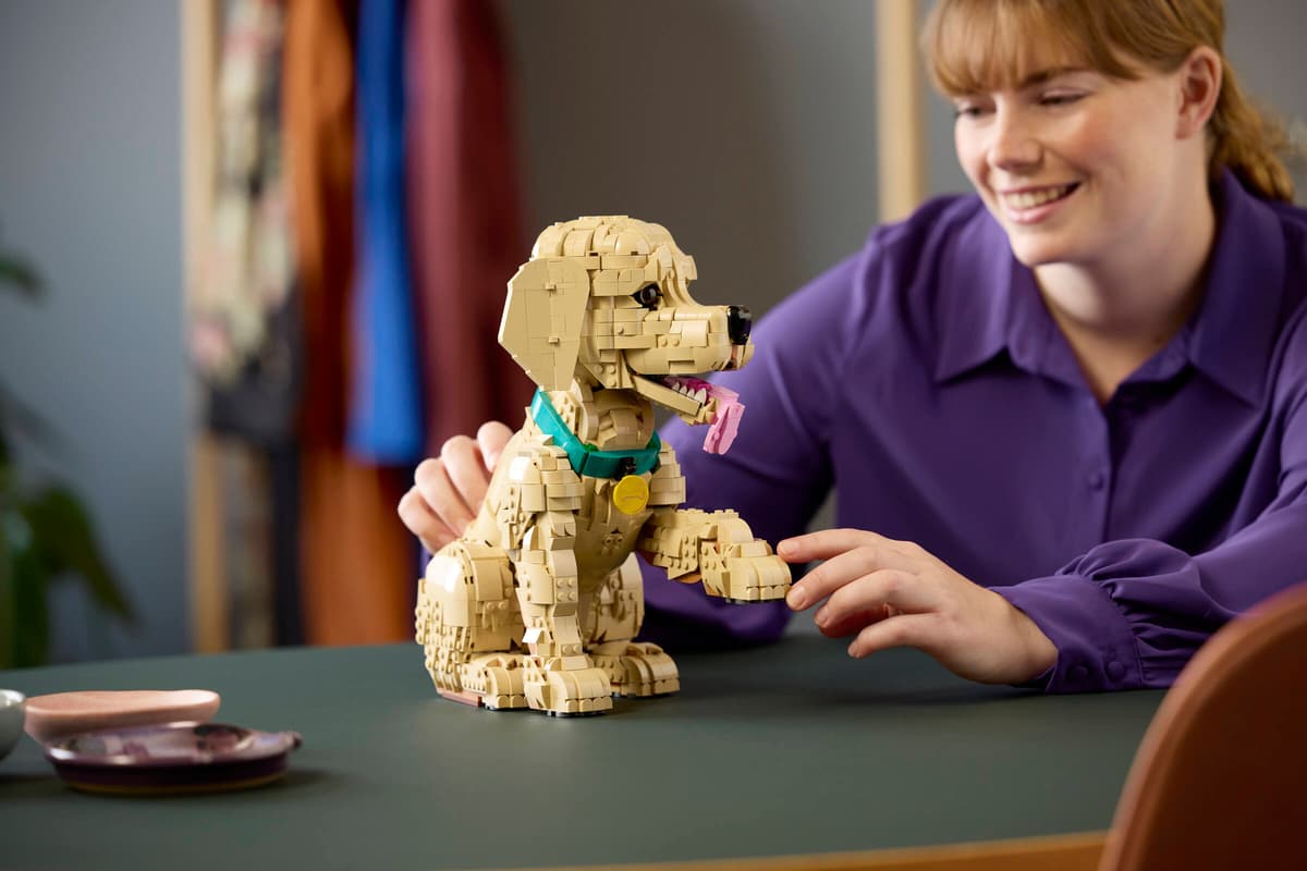 Golden Retriever Welpe