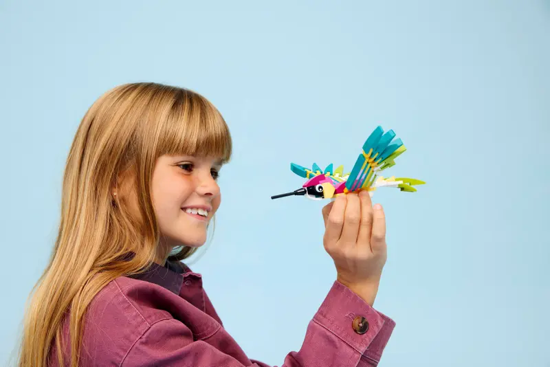 Wilde Tiere: Bunter Kolibri