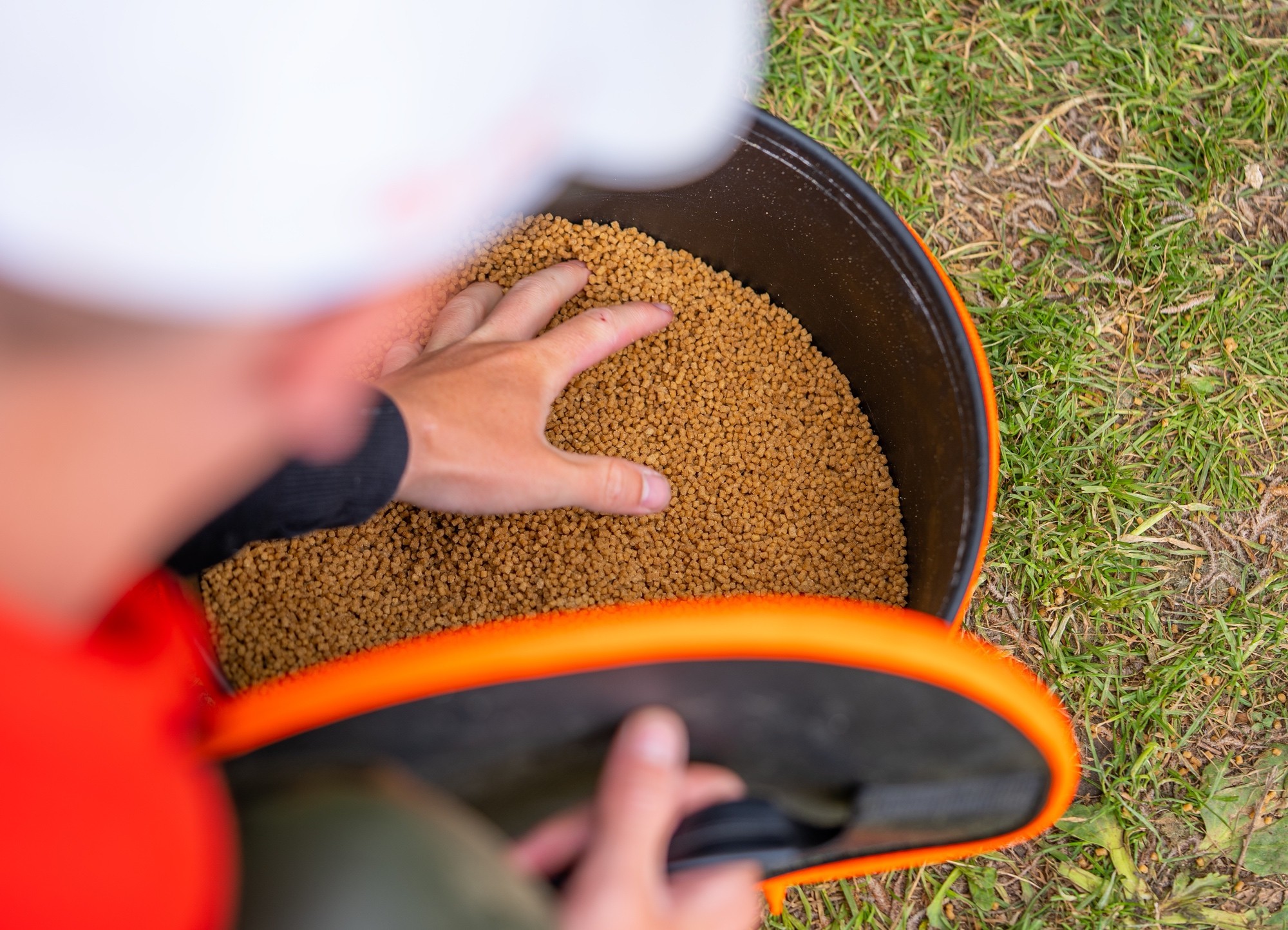 Finger, Hand, Person, Gras, Pflanze