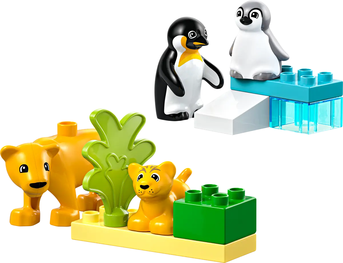Wildtier-Familien: Pinguine und Löwen Wildtier-Familien: Pinguine und Löwen