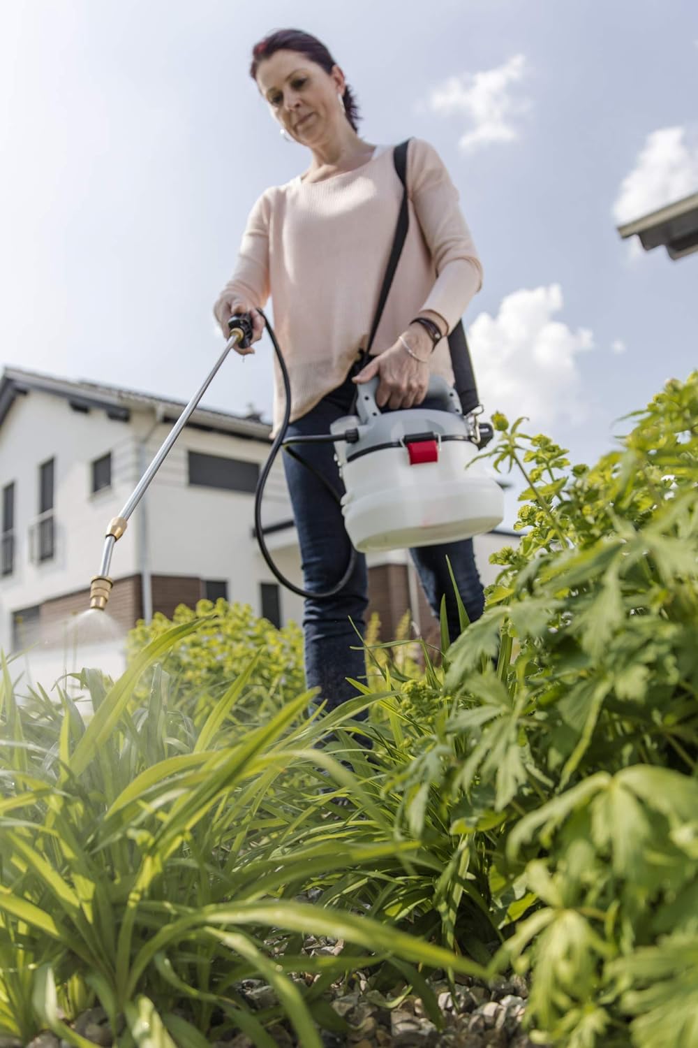Gras, Pflanze, Garten, Natur, Draußen