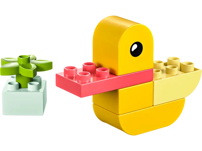 Meine erste Ente