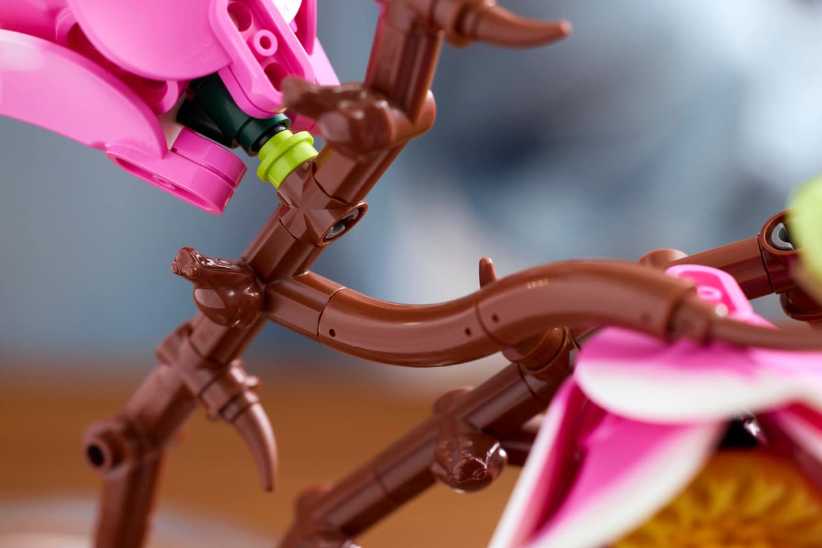 Lego, Kunststoff, Pink, Kleinteile, Drachen