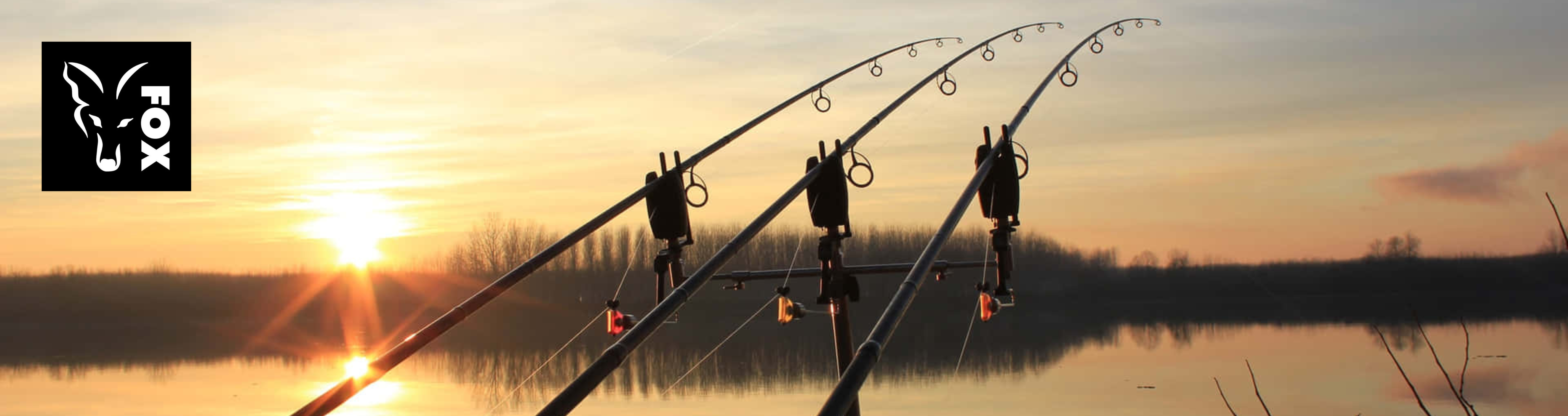 Fischen, Draußen, Wasser, Angler, Person