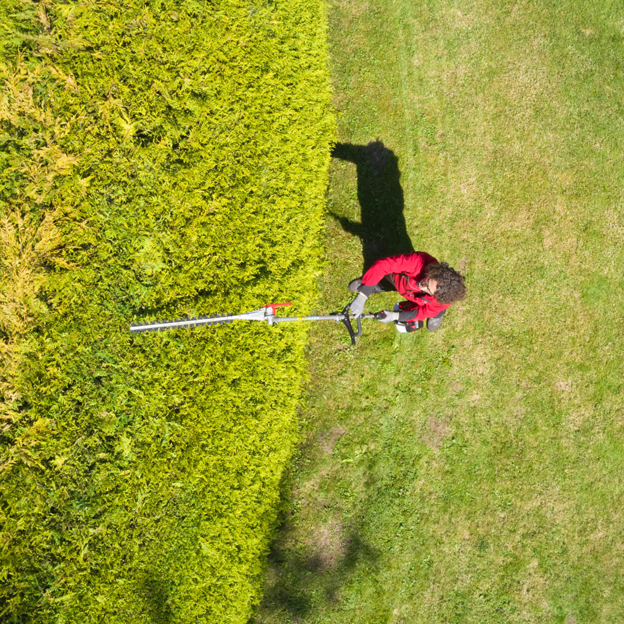 Rasenpflege, Gartenarbeit, Teerwerkzeug, Badekanten, Motorsense