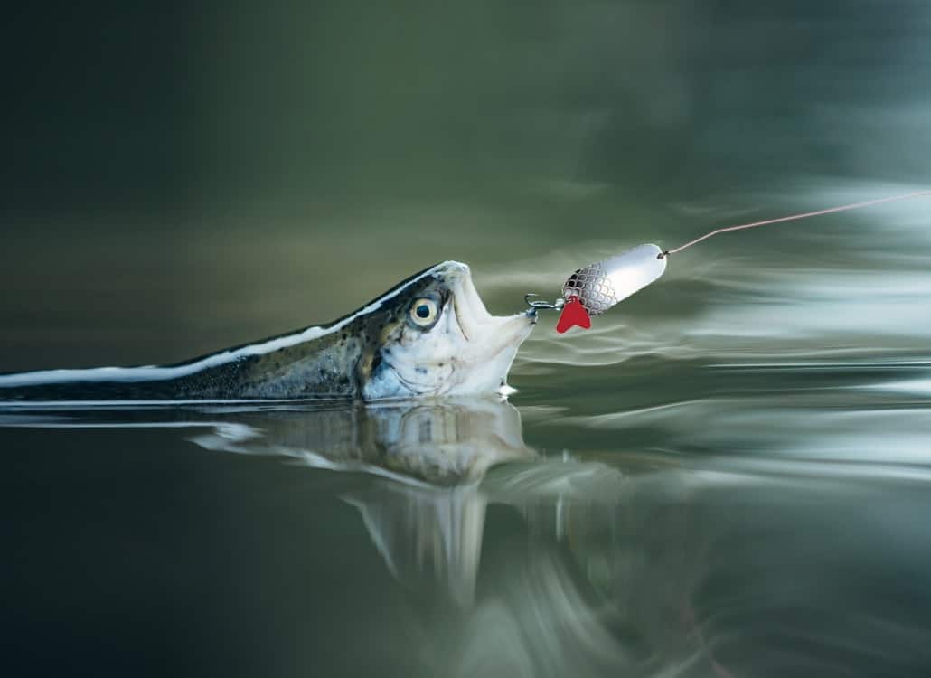 Draußen, Fischen, Freizeitaktivitäten, Wasser