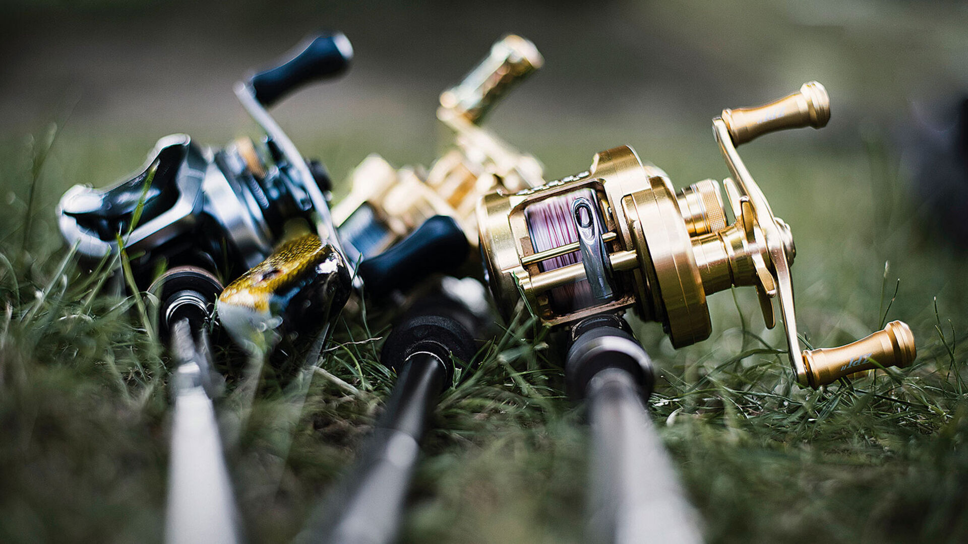 angelsfishing reels, spinning reel, gold colored, rotor, grassy backdrop