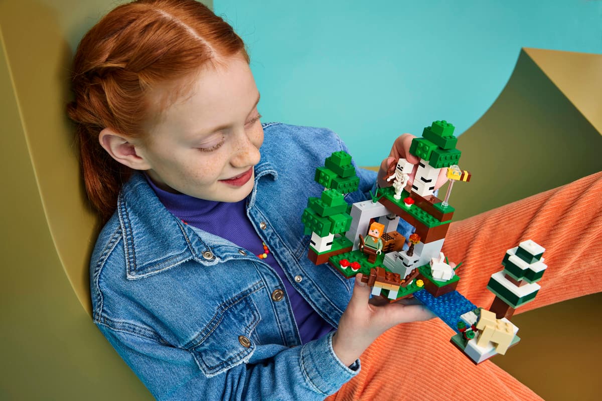 Spielzeug, Bausatz, Lego, Minifiguren, Gebäude