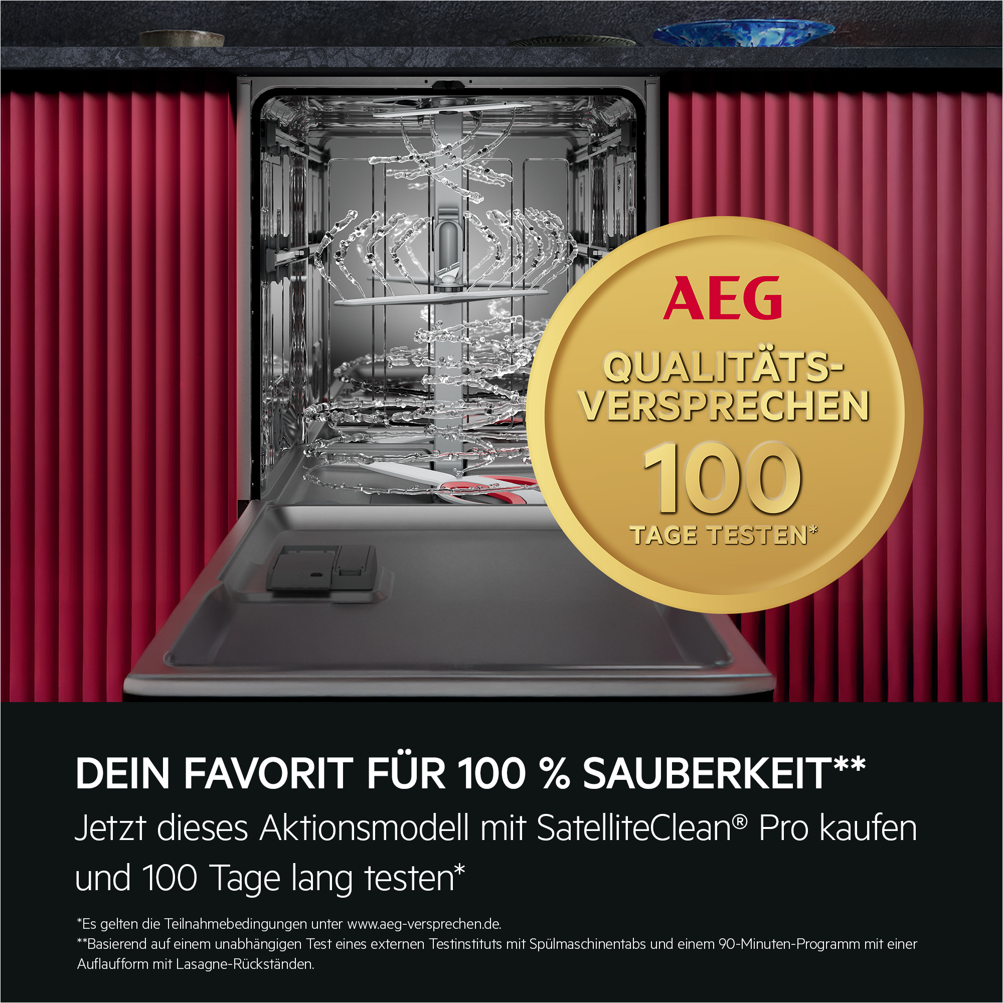 Geschirrspülmaschine, Innenraum, Einschubregal, goldenes Abzeichen, Werbung