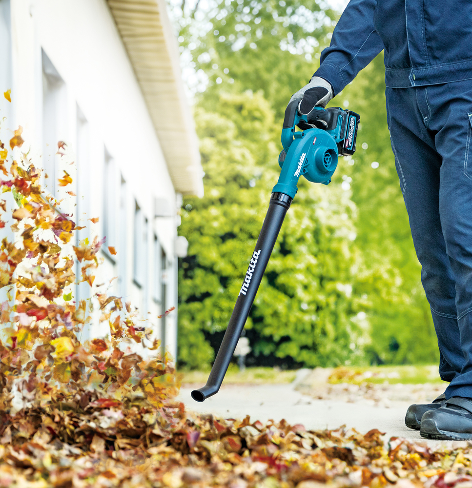 Gras, Pflanze, Rasen, Person