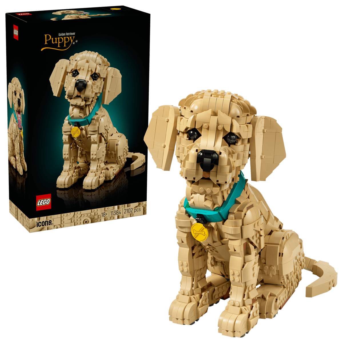 Golden Retriever Welpe