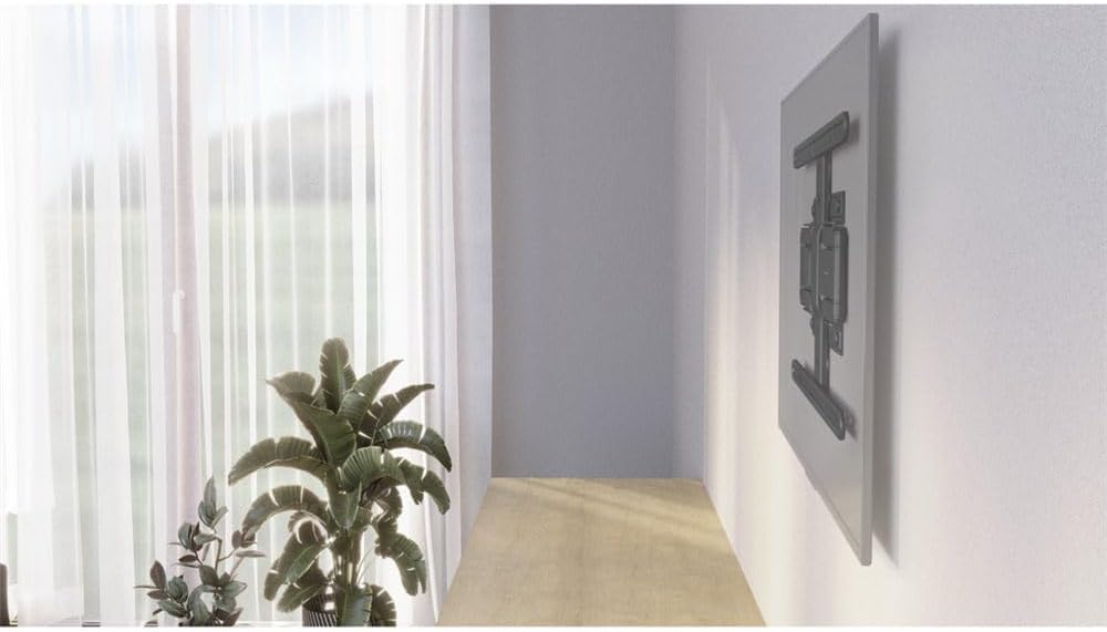 Pflanze, Drinnen, Innenarchitektur