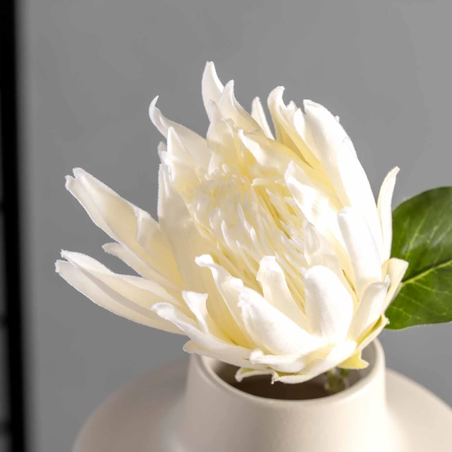 Prothea 72 weiß FIORE