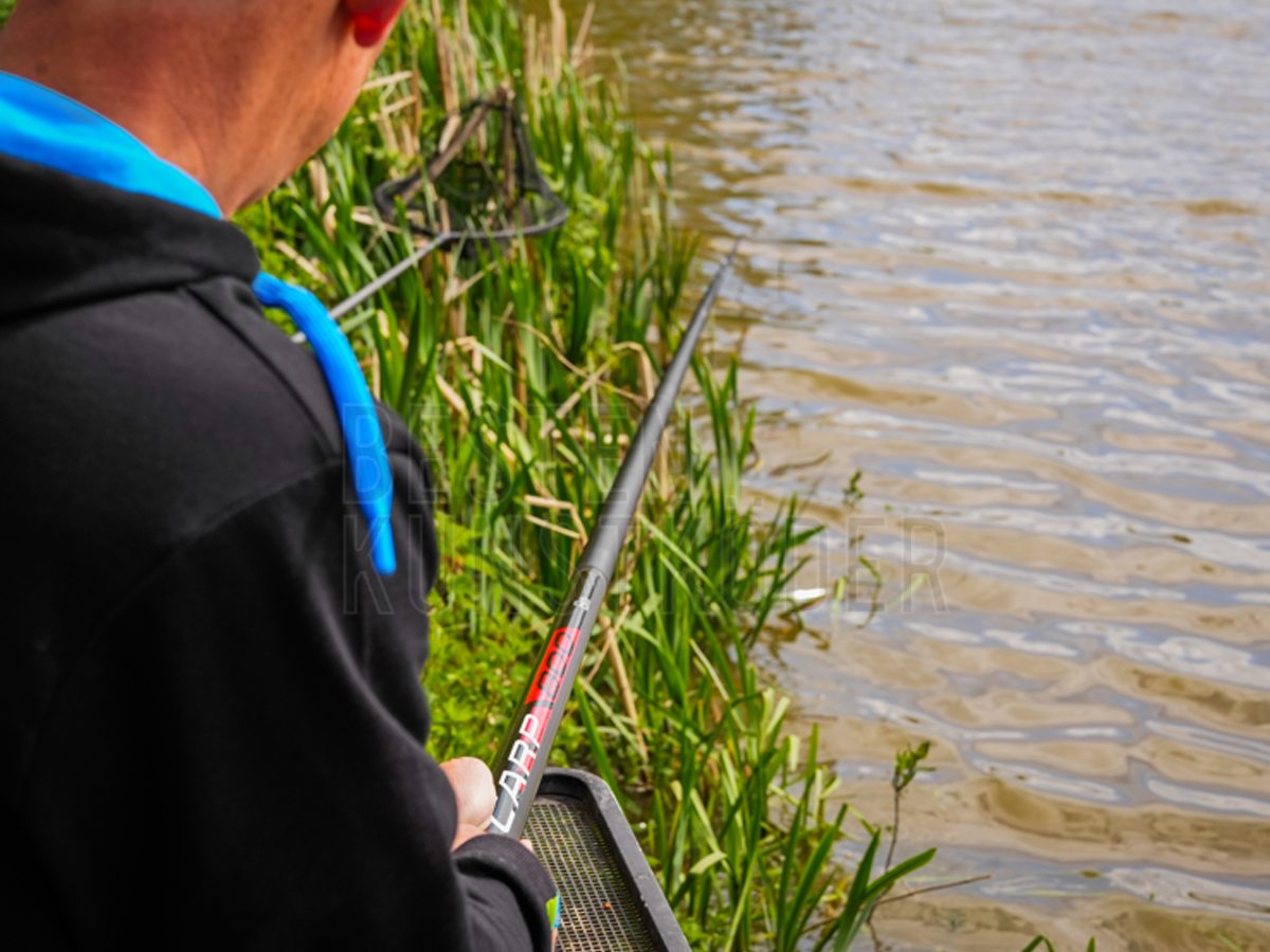 angler, fiche, rute fischen