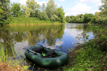 Natur, Draußen, Teich, Szenerie, Vegetation