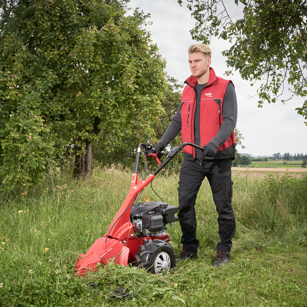 Rasenmäher, Motor, Gasbetrieben, rot, Gartenarbeit