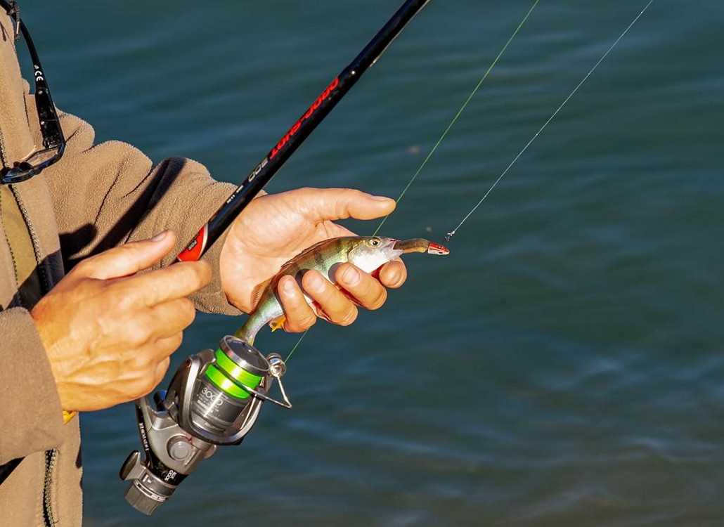 Angelrute, Angler, Spinnfisch, Köder, Angeln
