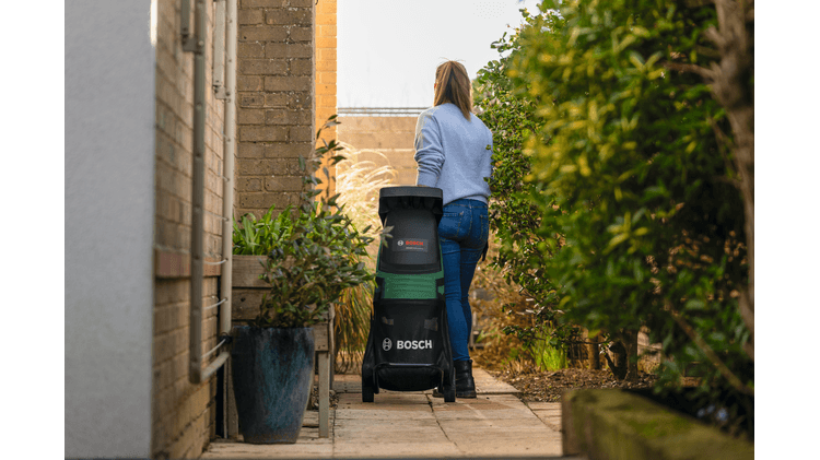 Pflanze, Person, Gepäck