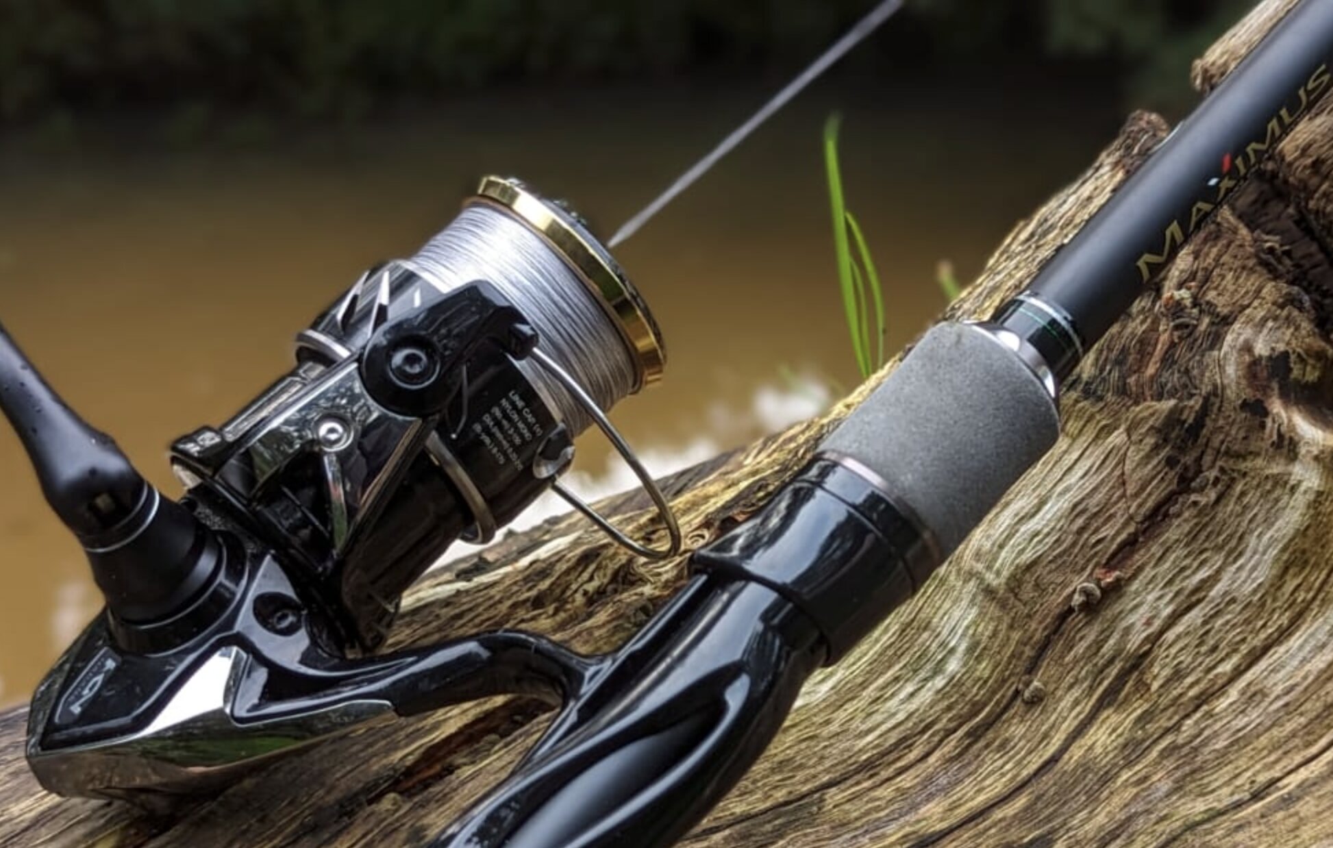 rollenf alle, angelrolle, fischerrute, gitarrrodring?, angeln