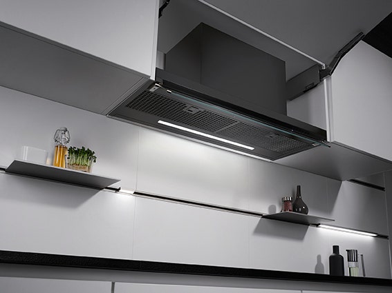 MECK55 Kaminaufsatz, schwarzmatt Pflanze, Drinnen, Innenarchitektur, Regal