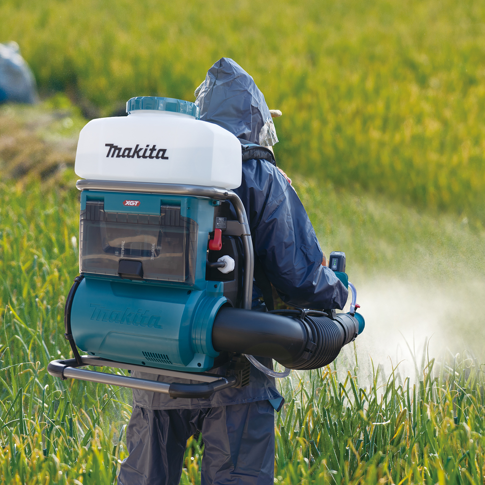 Gras, Pflanze, Person