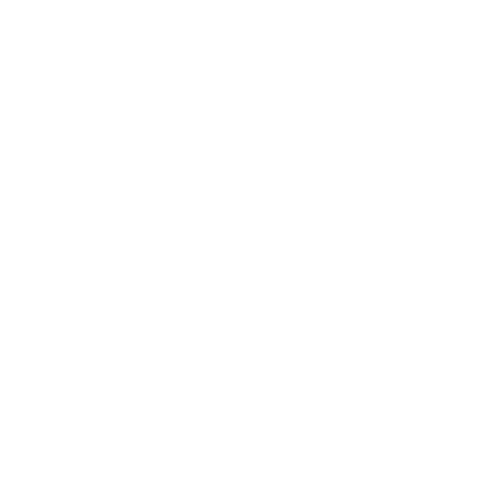 Brillante Sauberkeit Icon