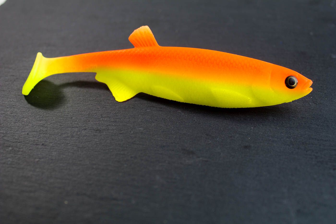 Tier, Fische, Leben im Meer